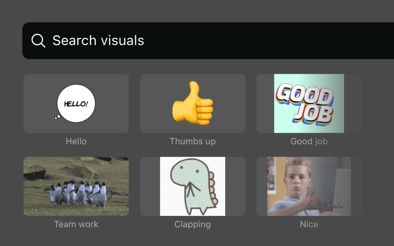 Visuals search from Airtime Camera